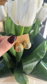 Orecchini ricciolo (più colori)
