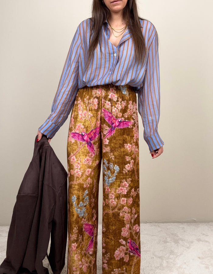 Pantalone Nomad gold
